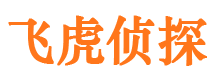 龙沙调查公司